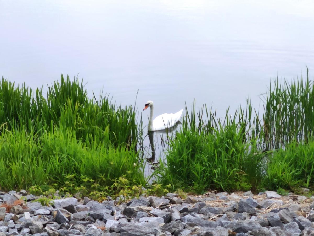 Miodowa Sadyba Domki Caloroczne Kluczbork Ligota Zamecka Esterno foto