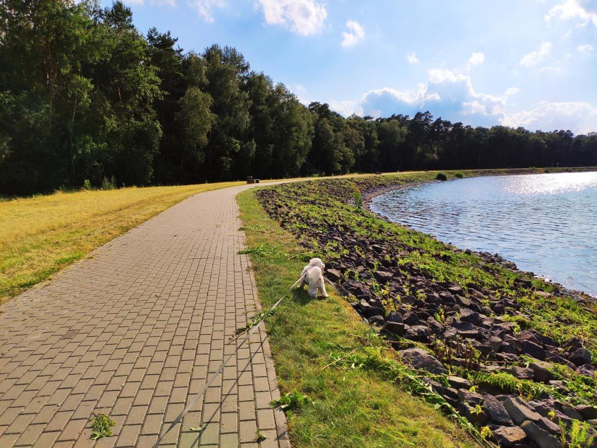 Miodowa Sadyba Domki Caloroczne Kluczbork Ligota Zamecka Esterno foto